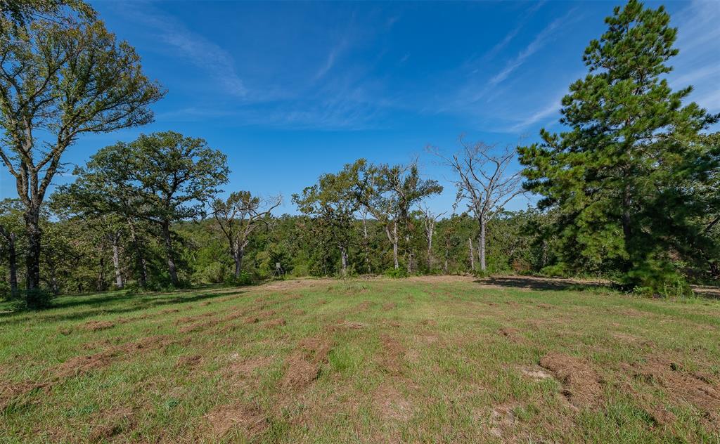 10143 Pr 4120 Road, Marquez, Texas image 11