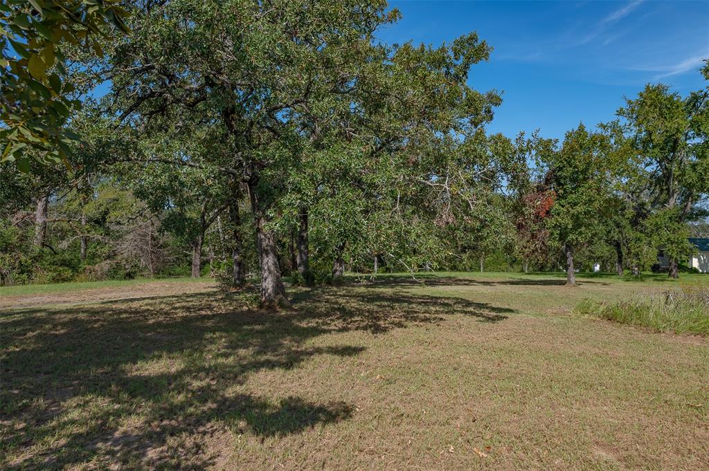 10143 Pr 4120 Road, Marquez, Texas image 6