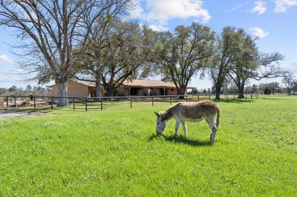 788 Fm 247 Road, Huntsville, Texas image 35