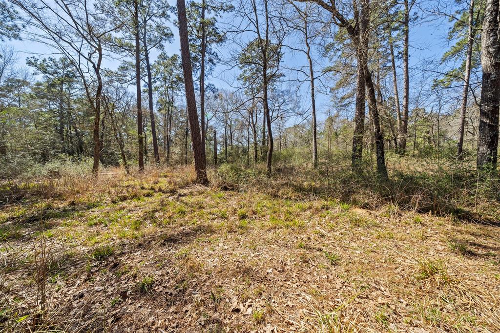 26760 Sandy Creek, Magnolia, Texas image 6