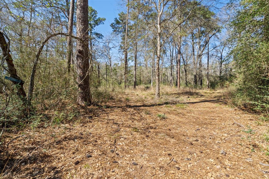 26760 Sandy Creek, Magnolia, Texas image 5