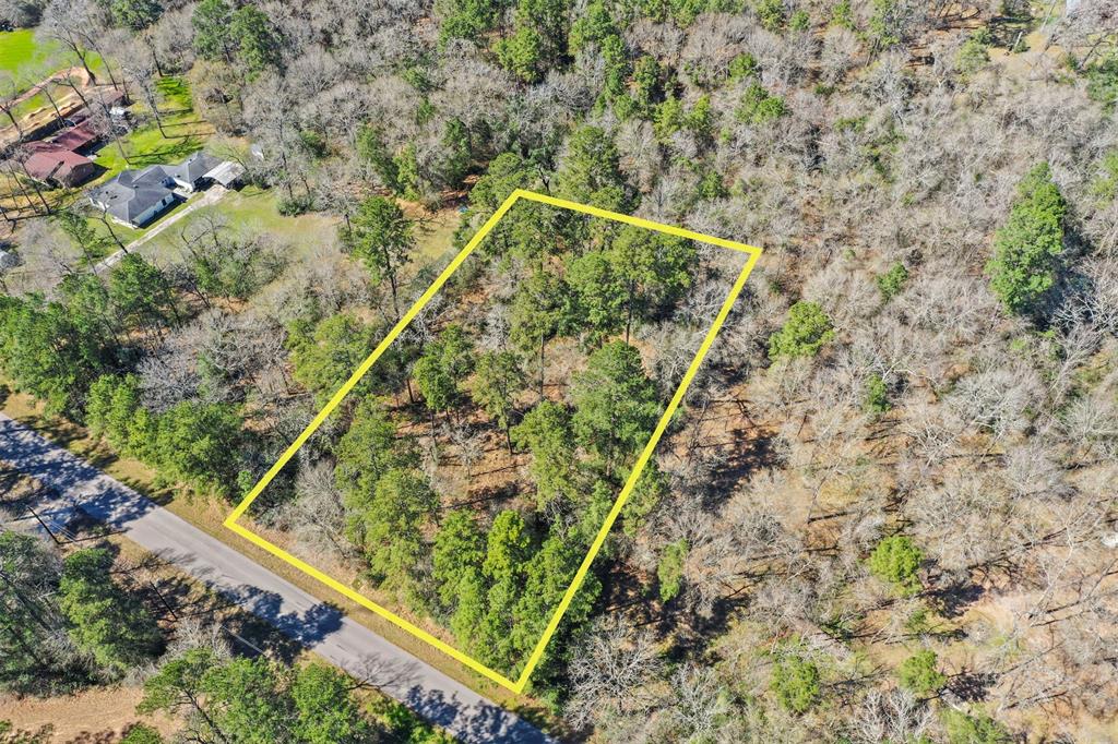 26760 Sandy Creek, Magnolia, Texas image 14