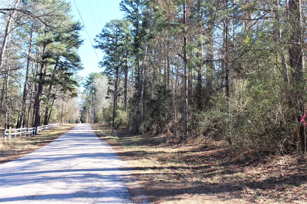 0000 Tram Road, Crockett, Texas image 7