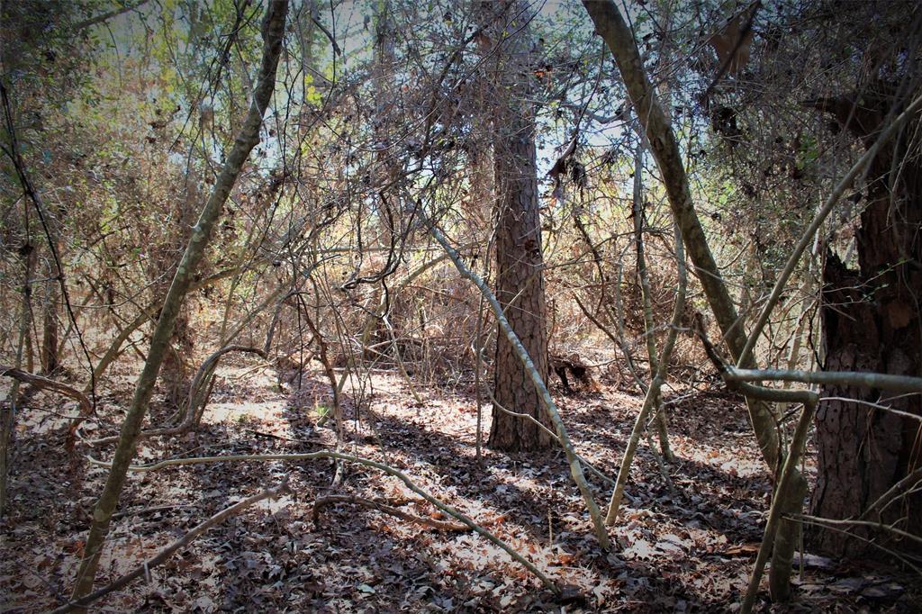 0000 Tram Road, Crockett, Texas image 8