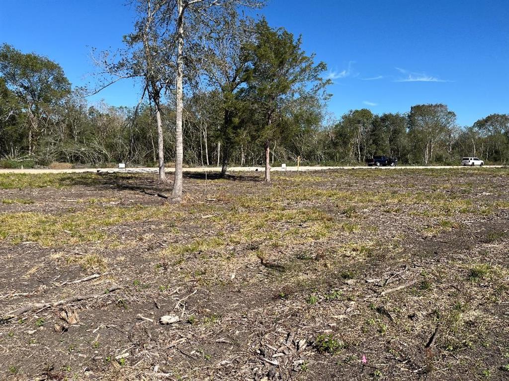 00 Lot 49 Bijou Rue, Rosharon, Texas image 7