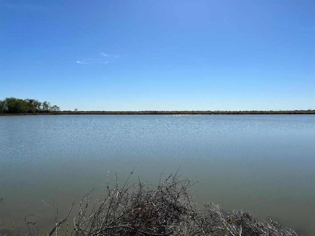00 Lot 49 Bijou Rue, Rosharon, Texas image 10