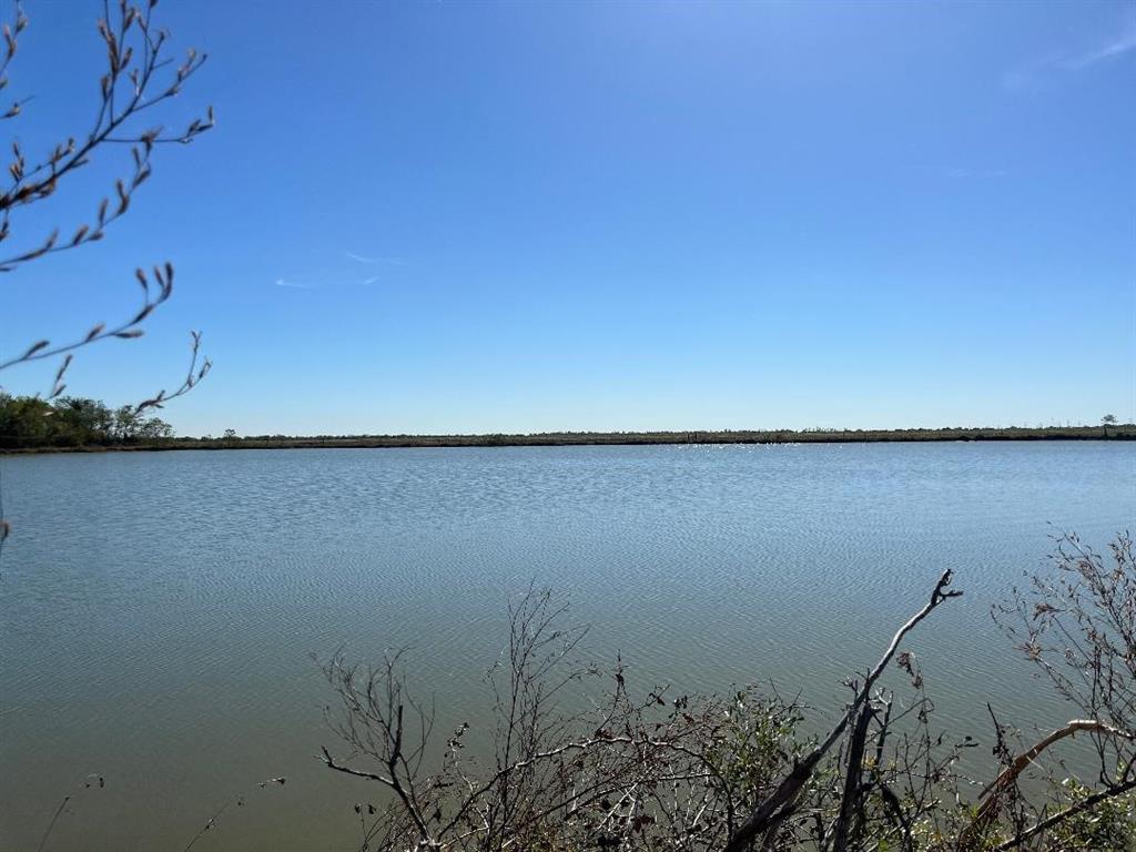 00 Lot 49 Bijou Rue, Rosharon, Texas image 13