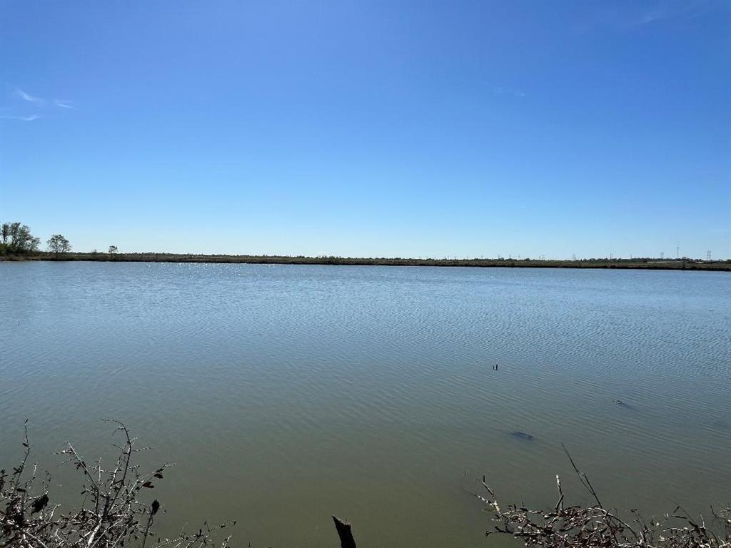 00 Lot 49 Bijou Rue, Rosharon, Texas image 9