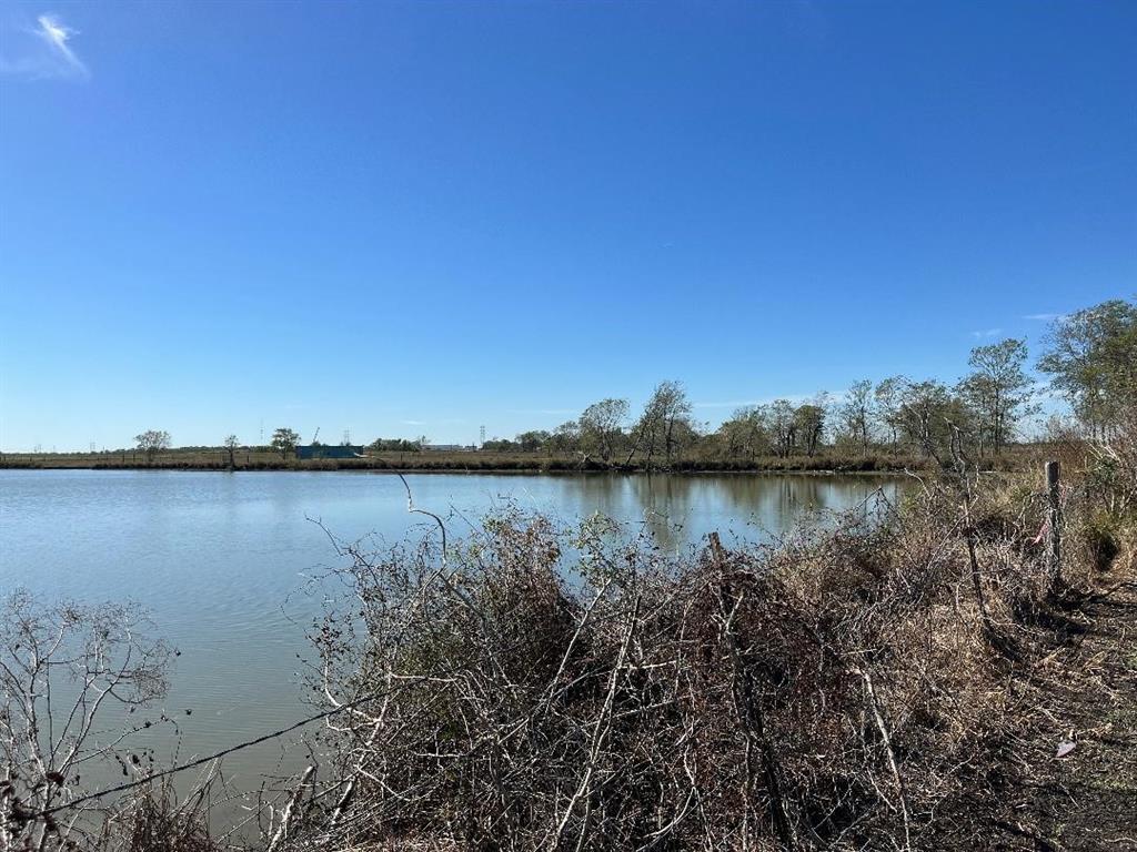 00 Lot 49 Bijou Rue, Rosharon, Texas image 11