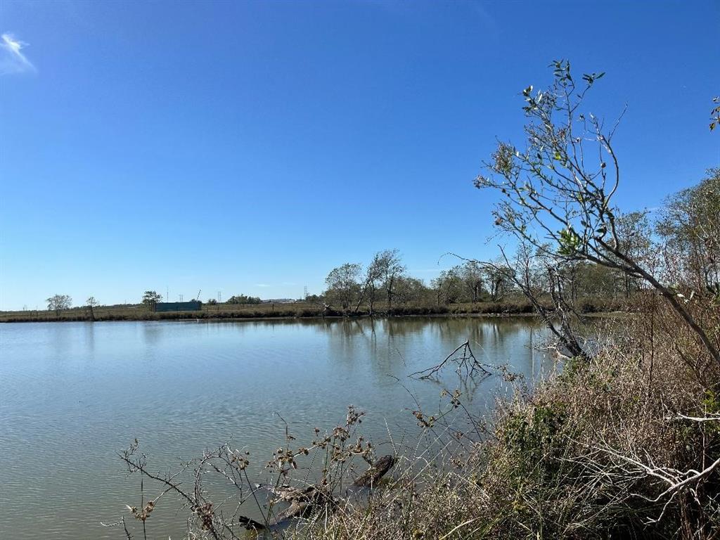 00 Lot 49 Bijou Rue, Rosharon, Texas image 12