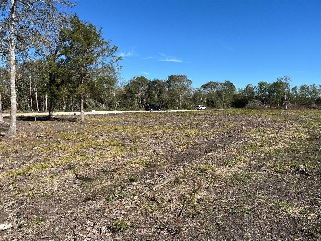 00 Lot 49 Bijou Rue, Rosharon, Texas image 6