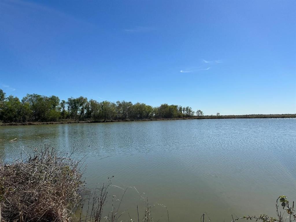 00 Lot 49 Bijou Rue, Rosharon, Texas image 8