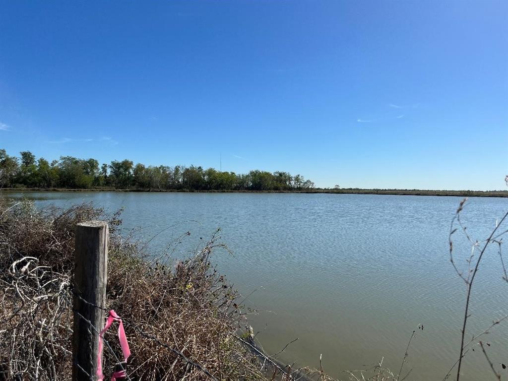00 Lot 49 Bijou Rue, Rosharon, Texas image 14