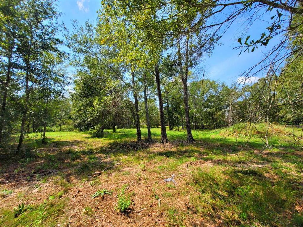 24649 Tipperary Street, Hempstead, Texas image 5