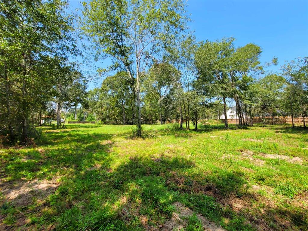 24649 Tipperary Street, Hempstead, Texas image 4