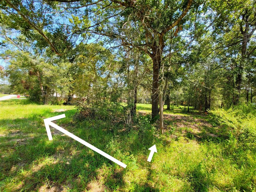 24649 Tipperary Street, Hempstead, Texas image 3