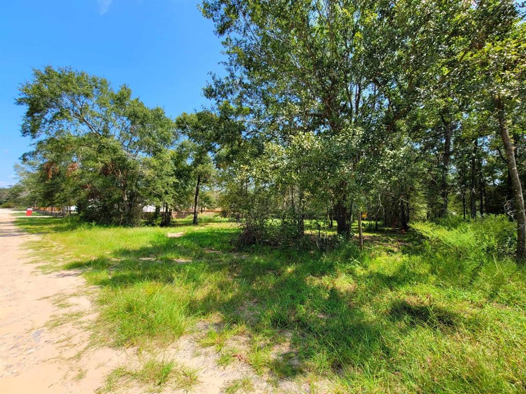 24649 Tipperary Street, Hempstead, Texas image 11
