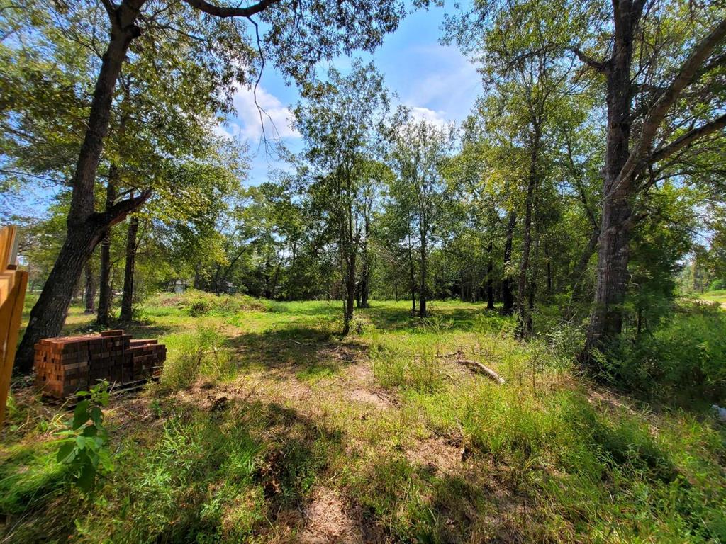 24649 Tipperary Street, Hempstead, Texas image 9