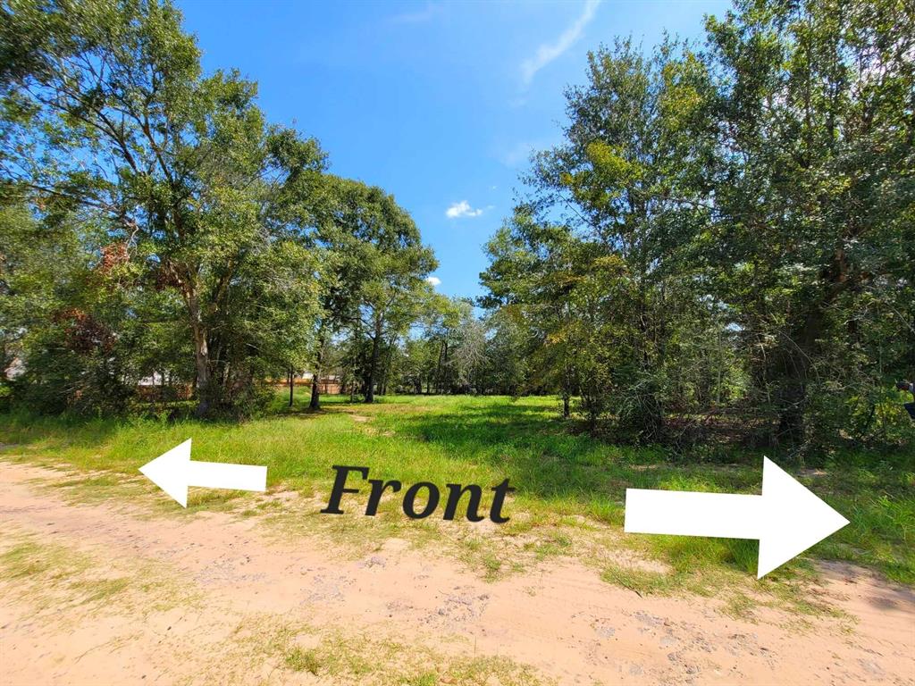 24649 Tipperary Street, Hempstead, Texas image 1