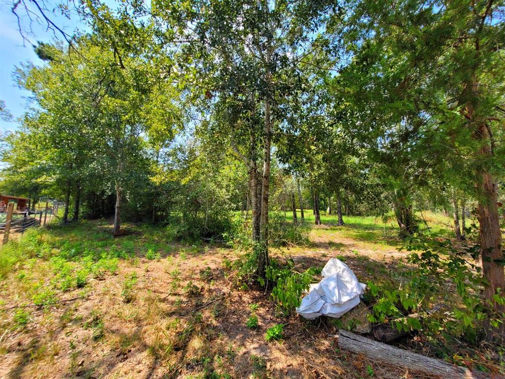 24649 Tipperary Street, Hempstead, Texas image 6
