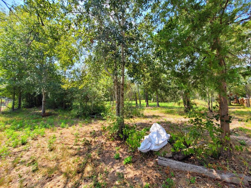 24649 Tipperary Street, Hempstead, Texas image 7