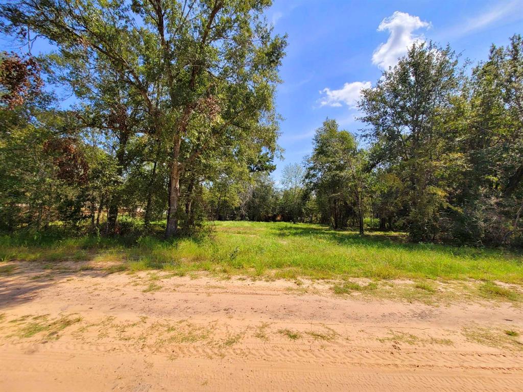 24649 Tipperary Street, Hempstead, Texas image 10