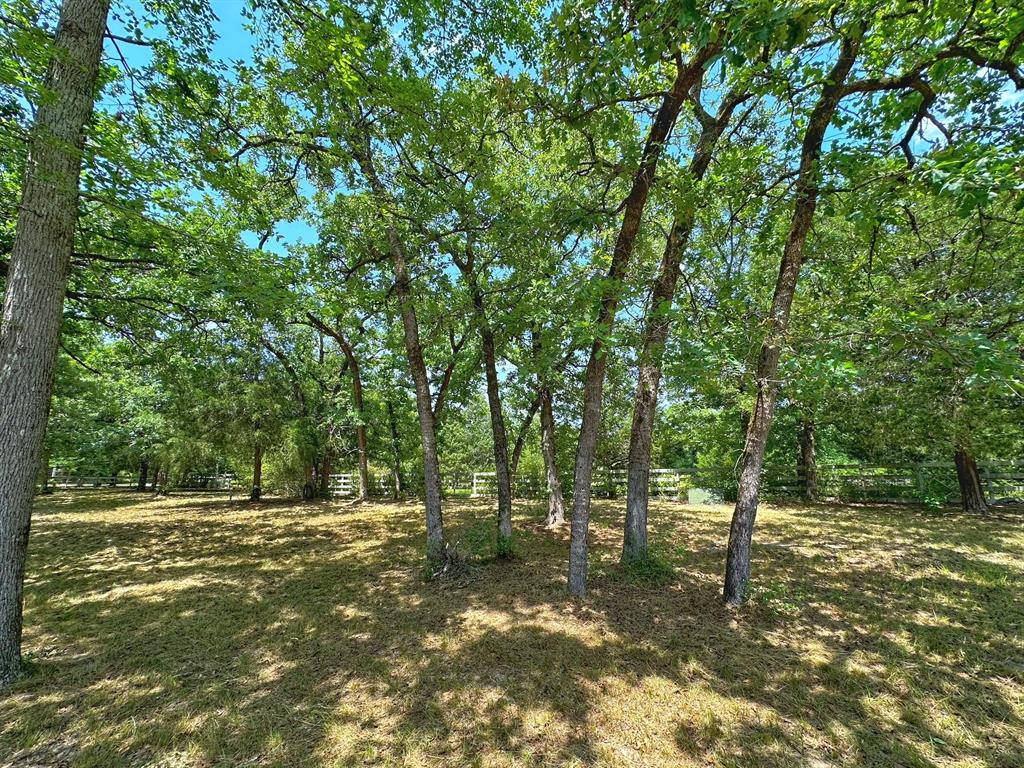 1116 Pr 1270, Centerville, Texas image 4