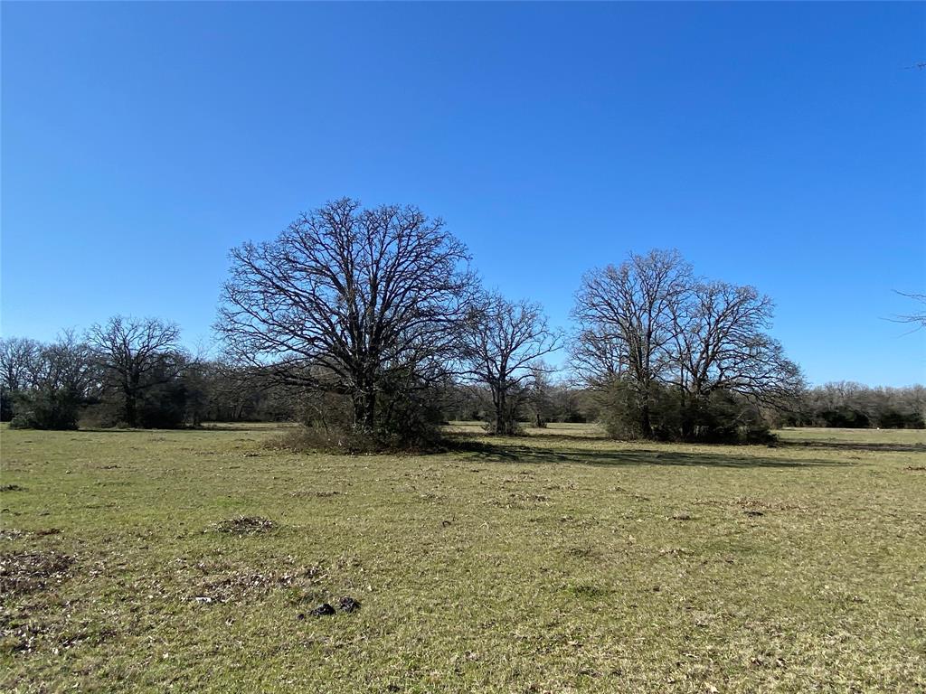 15 Acres Lot 8, Hwy 30, Bedias, Texas image 1