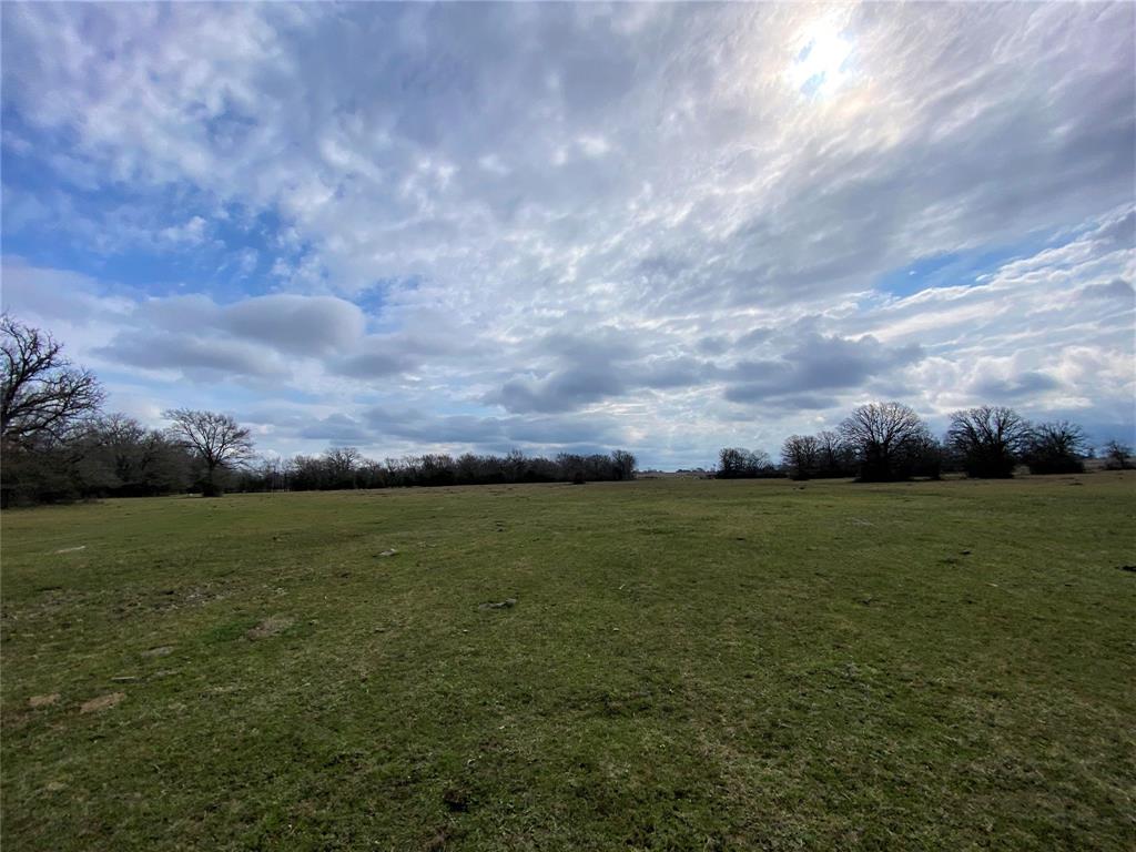 15 Acres Lot 8, Hwy 30, Bedias, Texas image 14