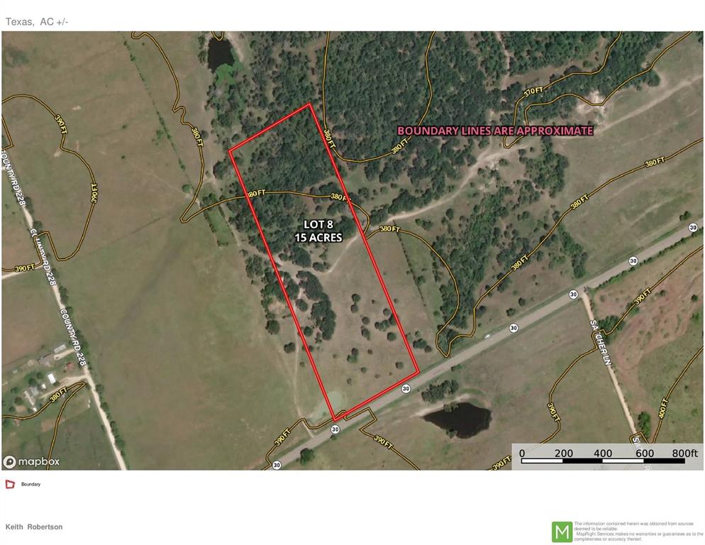 15 Acres Lot 8, Hwy 30, Bedias, Texas image 8