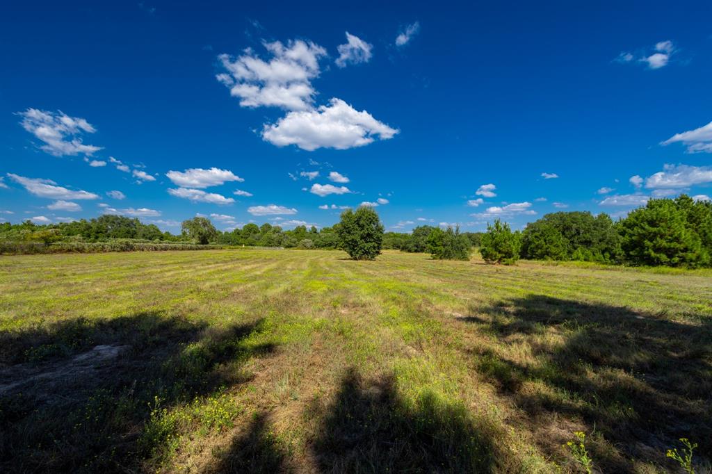 1806 Sunset Lane, New Ulm, Texas image 6