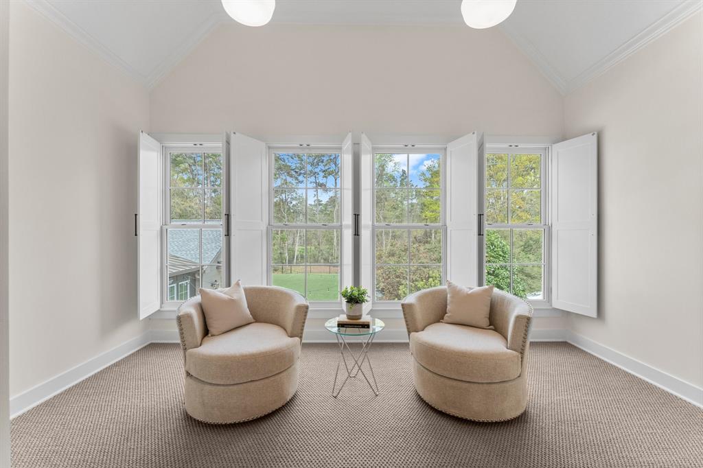184 W Shadowpoint Circle, The Woodlands, Texas image 37