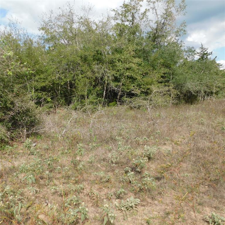 5879 Brown Road, Flatonia, Texas image 9