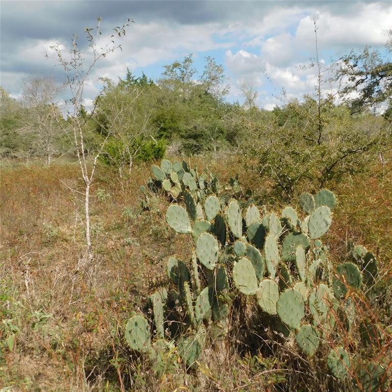 5879 Brown Road, Flatonia, Texas image 10