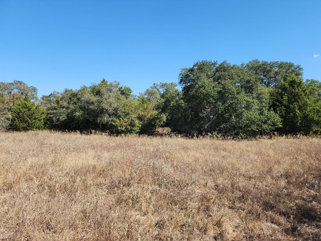 5879 Brown Road, Flatonia, Texas image 4