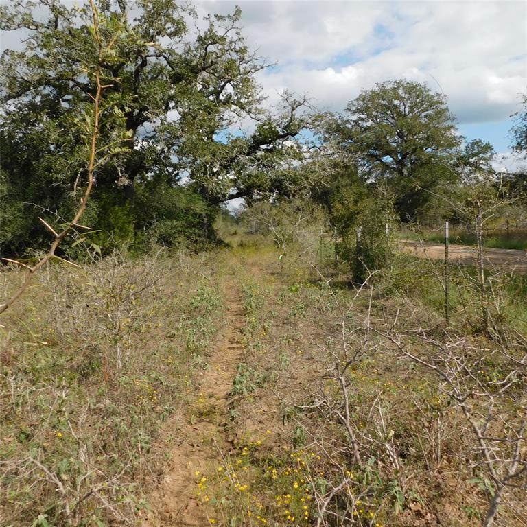 5879 Brown Road, Flatonia, Texas image 8