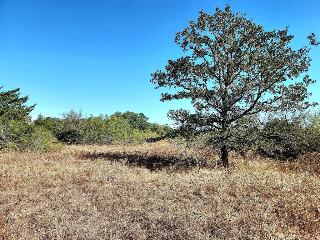 5879 Brown Road, Flatonia, Texas image 3