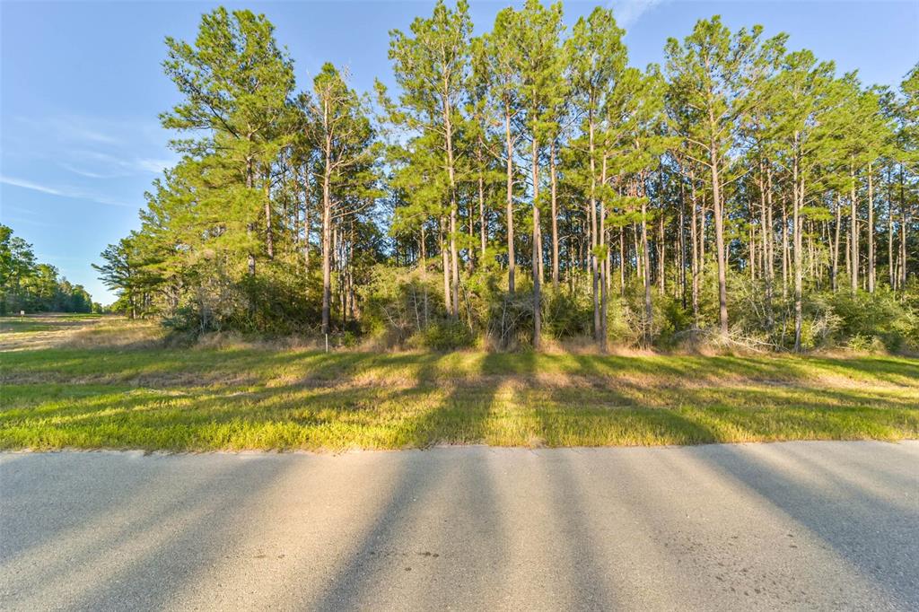 15774 Wooded Trail Way, Willis, Texas image 1