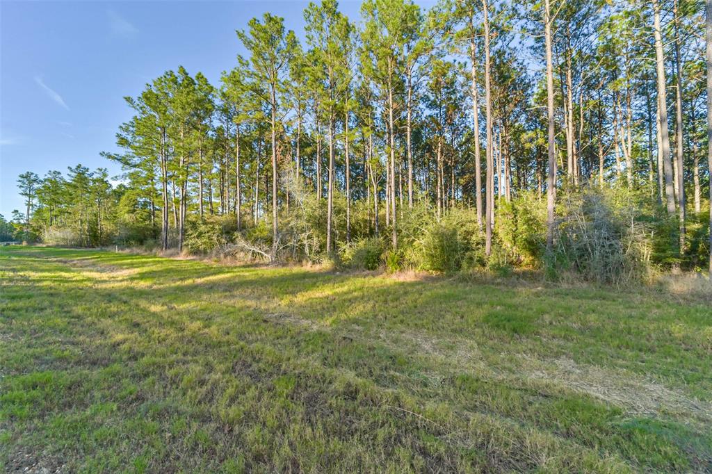 15774 Wooded Trail Way, Willis, Texas image 9