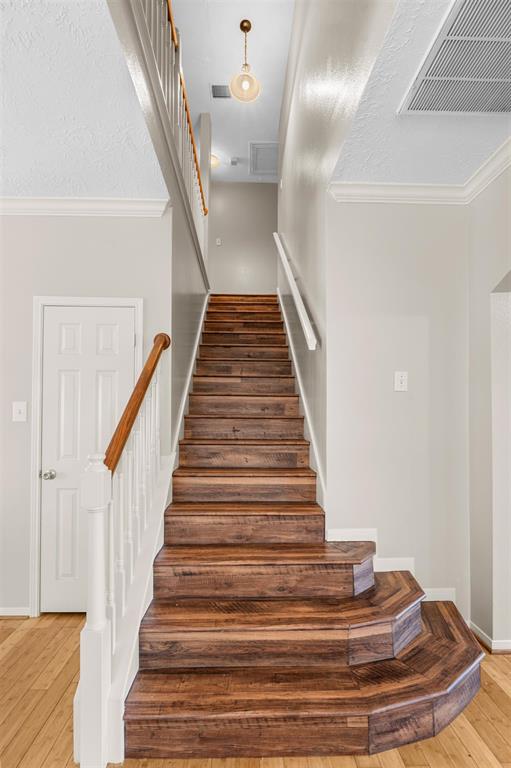 21519 San Marino Drive, Katy, Texas image 19