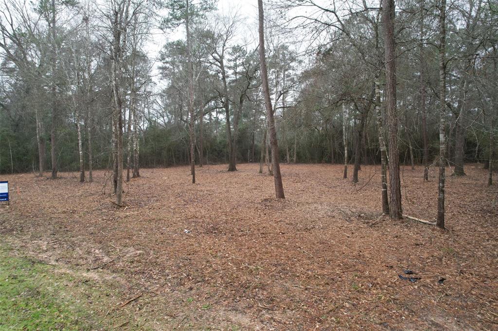 16740 Wood Duct Ct Court, Plantersville, Texas image 1
