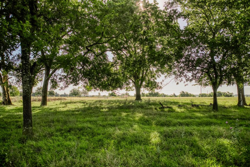 5005 Fuchs Rd - Lot 5 Rd, Burton, Texas image 8