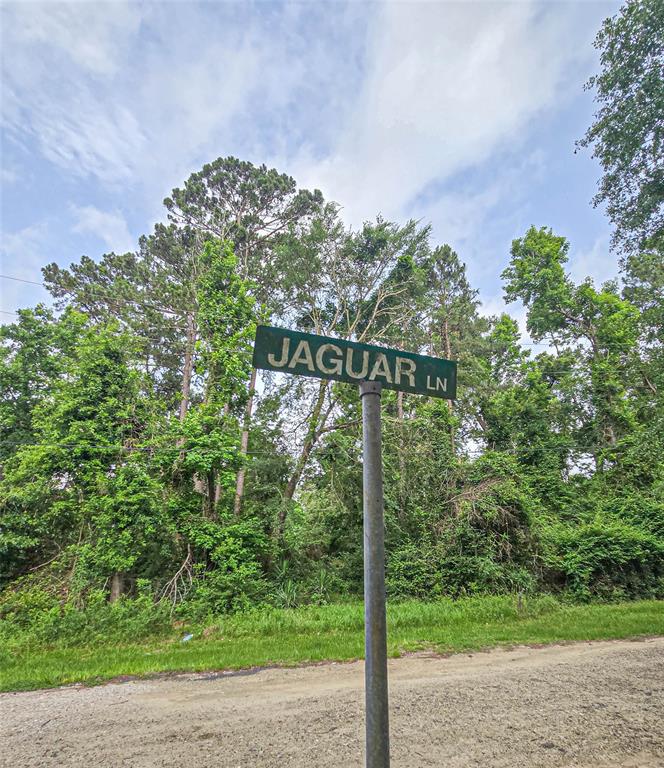 TBD Jaguar, Onalaska, Texas image 7