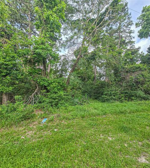 Photo of TBD Jaguar N, Onalaska, TX 77360 (MLS # 62832911)