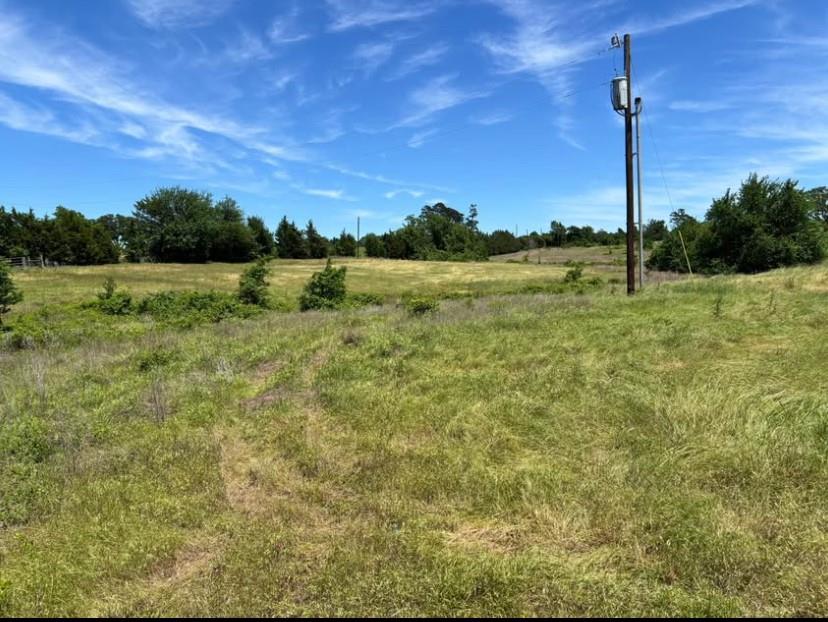 3888 Fm-1774, Anderson, Texas image 2