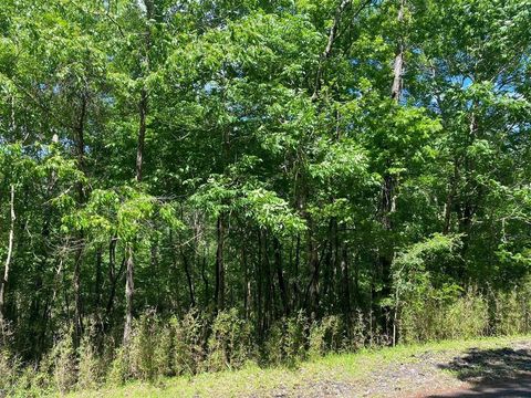 Vacant Land For Sale - 22 S Pine Harbour Drive<br/> Coldspring, TX 77331