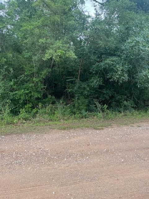 Photo of 0 Deerwood Drive, Hempstead, TX 77445 (MLS # 82897487)