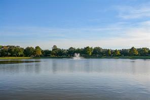 2910 Grants Lake Blvd Blvd #1205, Sugar Land, Texas image 24