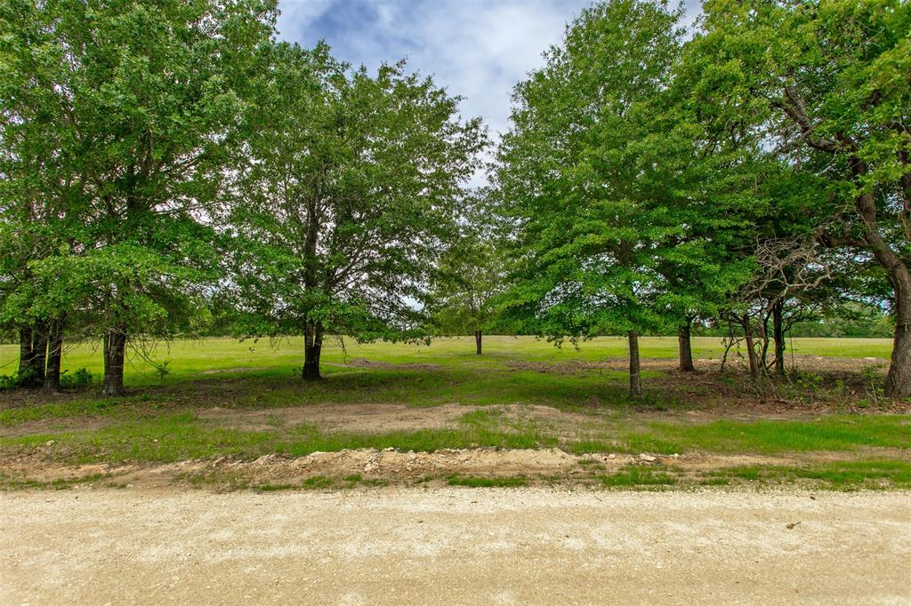 155 Green Acres Lane, Milano, Texas image 5