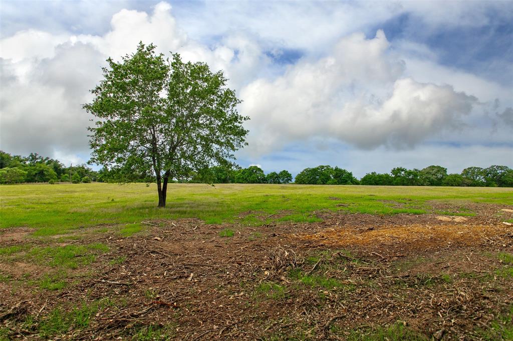 155 Green Acres Lane, Milano, Texas image 4
